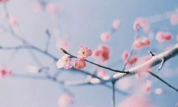1542248809734294.jpg 微信图片_20181113152310.jpg