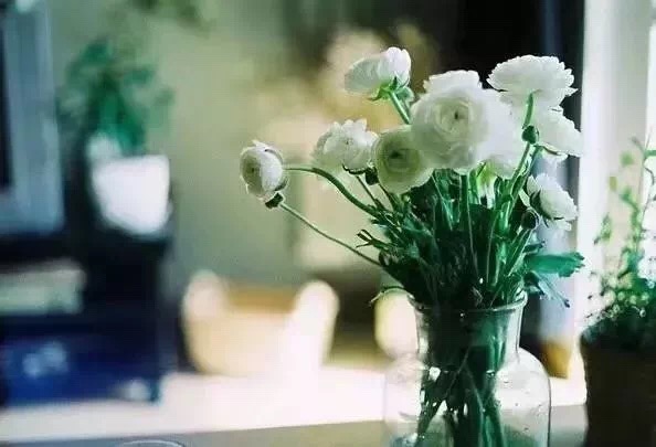 1545213689564748.jpg 1545213689564748.jpg