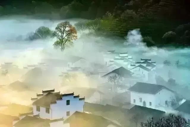 1550648471418132.jpg 1550648471418132.jpg