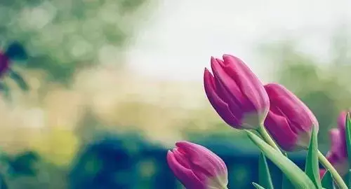 1557889217665073.jpg 1557889217665073.jpg