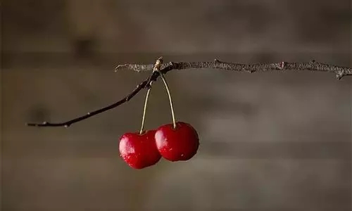 1557995942647050.jpg 1557995942647050.jpg