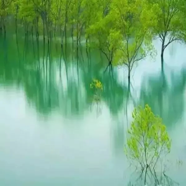 1562832606784149.jpg 1562832606784149.jpg