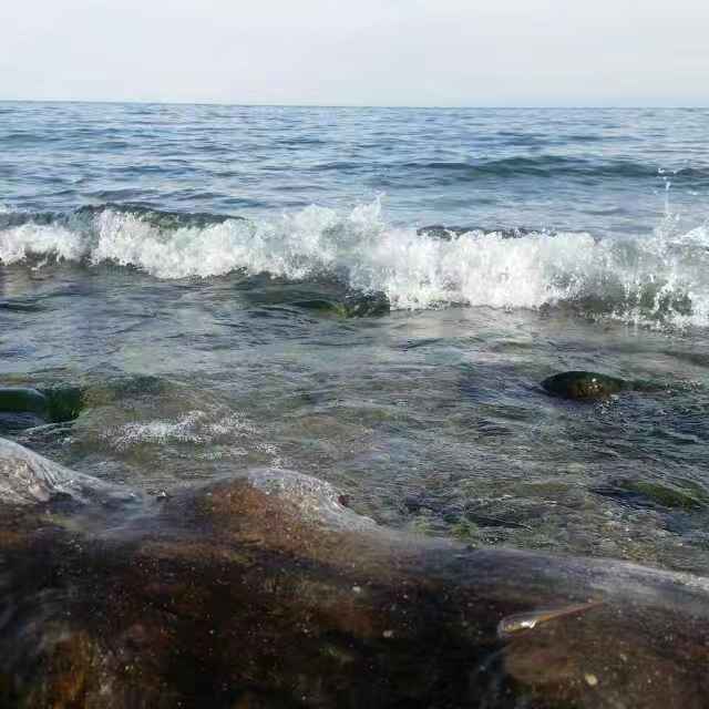 1565690997965253.jpg 1565690997965253.jpg